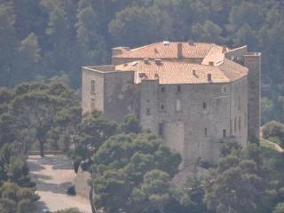 Chateau De Meyrargues ภายนอก รูปภาพ